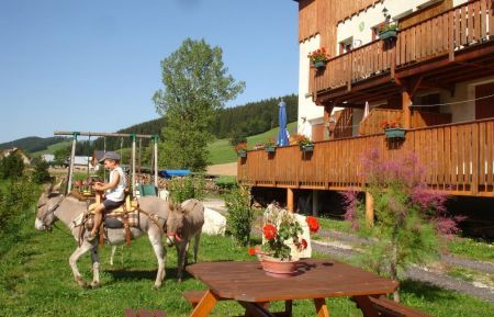 G&icirc;te n&deg;225101 Autrans-M&eacute;audre en Vercors - Is&egrave;re - photo