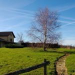 gite - GITE RURAL LA BERGERIE - ROYBON - Isère
