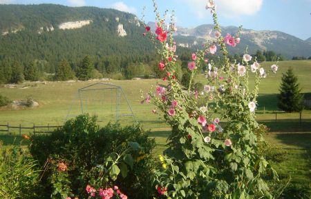 G&icirc;te n&deg;129869 Corren&ccedil;on-en-Vercors - Is&egrave;re - Terrain vert commun cot&eacute; est avec deux balan&ccedil;oires et un tourniquet