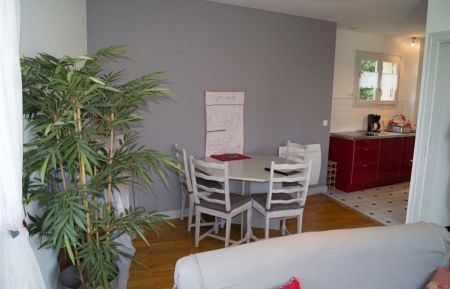 G&icirc;te n&deg;487100 Seyssuel - Is&egrave;re - S&eacute;jour & cuisine depuis le salon