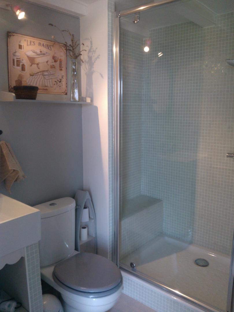 SALLE D'EAU PALADRU photo 4