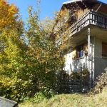 Profitez des belles couleurs d'automne